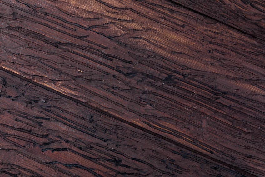 Precious wood texture. Of rustic aspect and dark, ocher, brown, toasted, black tones. The veins and knots are appreciated.
