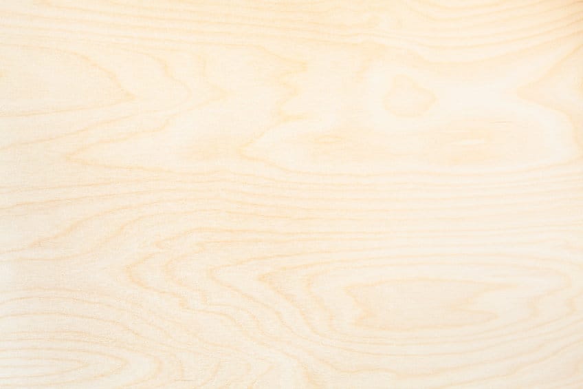 Wooden background from natural birch board
